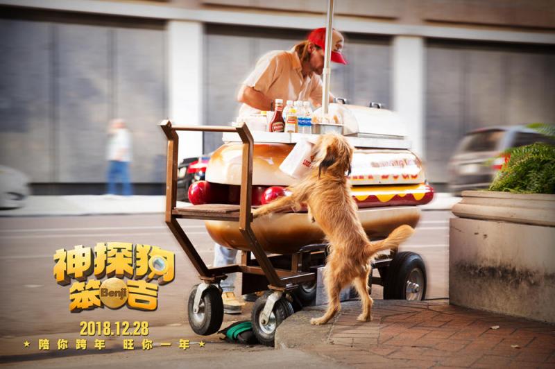 神探狗笨吉 Benji-第5张图片-九妖电影