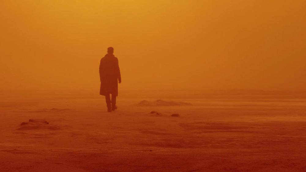 银翼杀手2049 Blade Runner 2049-第5张图片-九妖电影