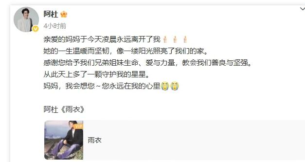 歌手阿杜母亲去世 发文悼念：您永远在我的心里-第1张图片-九妖电影