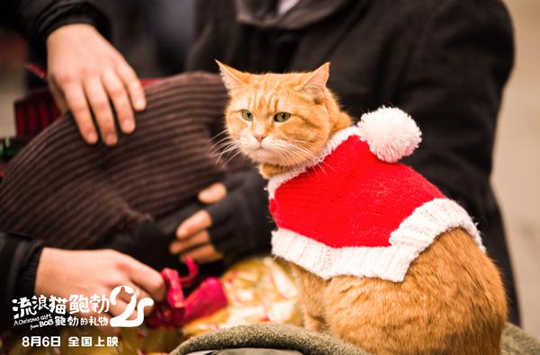 流浪猫鲍勃2：鲍勃的礼物 A Christmas Gift From Bob-第3张图片-九妖电影