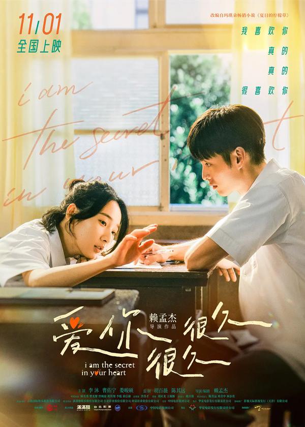 爱你很久很久 I Am the Secret in Your Heart-第1张图片-九妖电影
