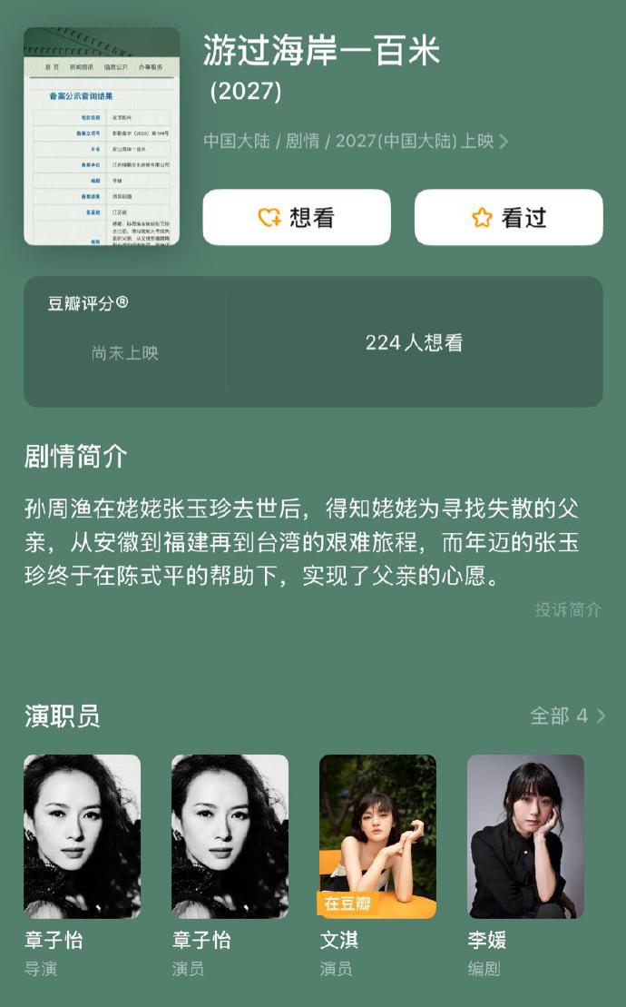 李媛执笔！章子怡导演处女作《游过海岸一百米》（章子怡在海边的照片）-第2张图片-九妖电影