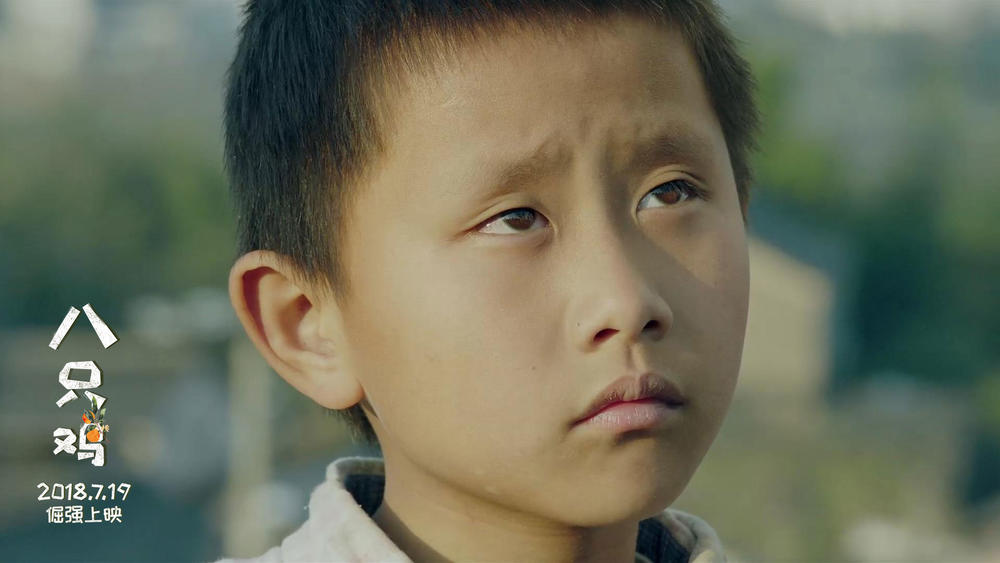 八只鸡 No Choice-第2张图片-九妖电影