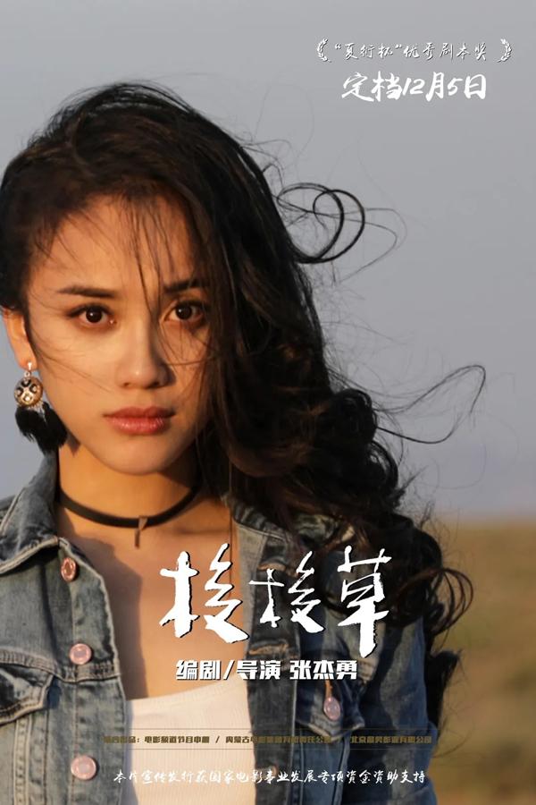 梭梭草 THE SAXAUL-第3张图片-九妖电影