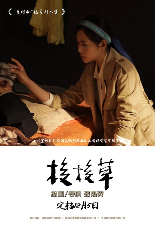 梭梭草 THE SAXAUL-第4张图片-九妖电影