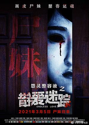 错爱迷踪 ENDLESS LOVE-第1张图片-九妖电影