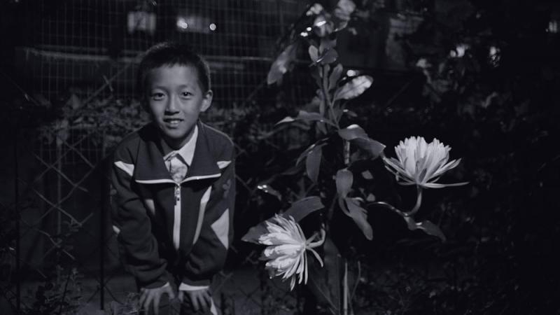 八月 The Summer Is Gone-第4张图片-九妖电影