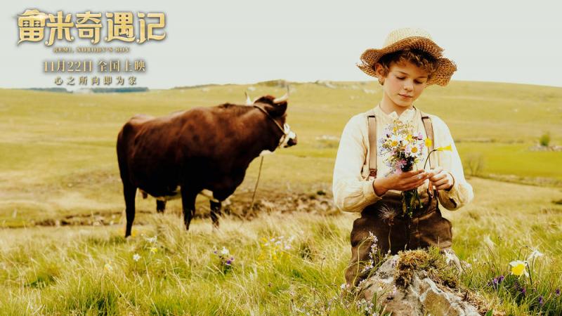 雷米奇遇记 Rémi sans famille-第2张图片-九妖电影