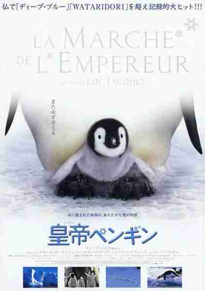 帝企鹅日记 La marche de l'empereur-第3张图片-九妖电影