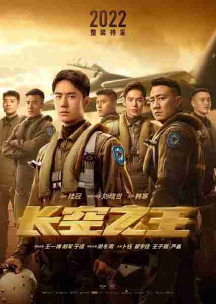 长空之王 BORN TO FLY-第2张图片-九妖电影