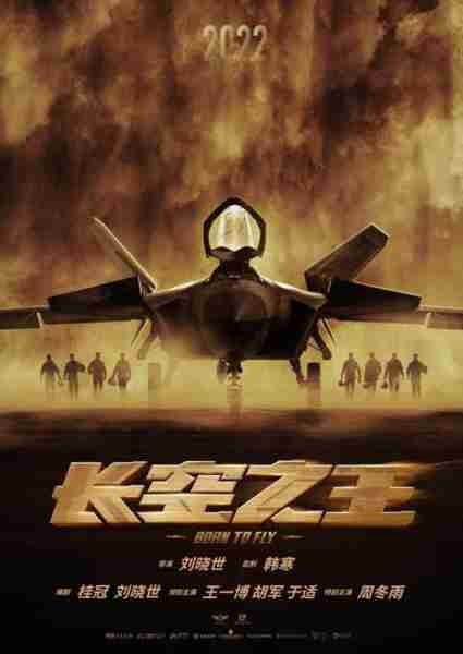 长空之王 BORN TO FLY-第3张图片-九妖电影