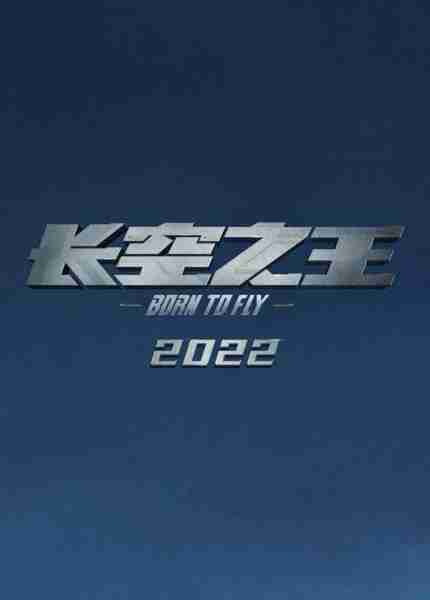 长空之王 BORN TO FLY-第4张图片-九妖电影