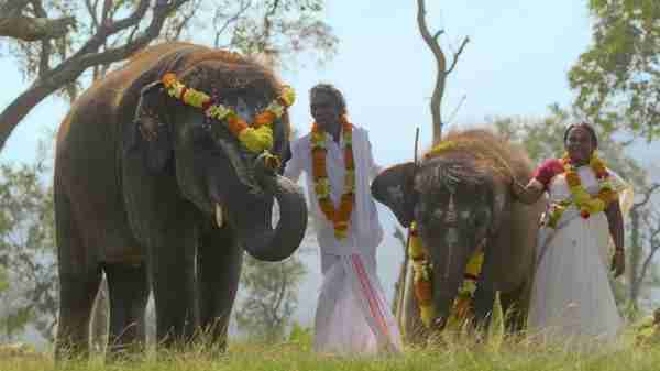 小象守护者 The Elephant Whisperers-第3张图片-九妖电影
