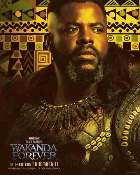 黑豹2 Black Panther - Wakanda Forever-第5张图片-九妖电影