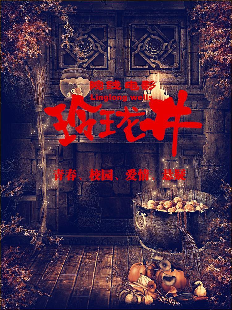 玲珑井 Linglong Wells-第2张图片-九妖电影