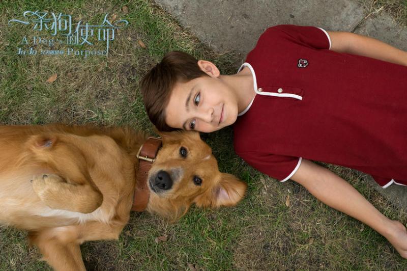 一条狗的使命 A Dog's Purpose-第5张图片-九妖电影