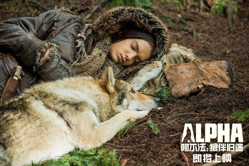 阿尔法：狼伴归途 Alpha-第5张图片-九妖电影