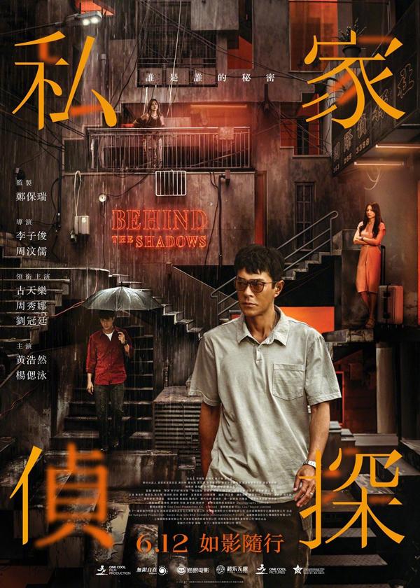 私家侦探 Behind The Shadows-第3张图片-九妖电影