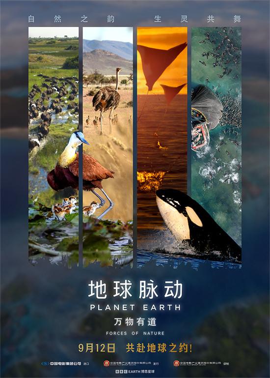 汉斯·季默配乐!《地球脉动：万物有道》定档9.12-第1张图片-九妖电影