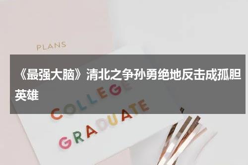 《最强大脑》清北之争孙勇绝地反击成孤胆英雄-第1张图片-九妖电影