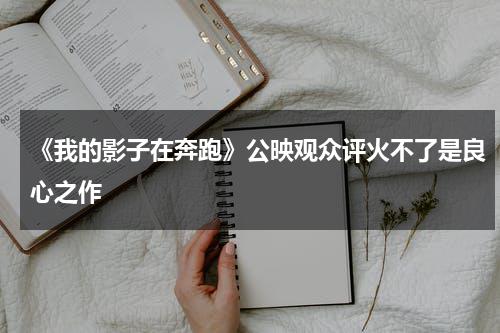 《我的影子在奔跑》公映观众评火不了是良心之作-第1张图片-九妖电影