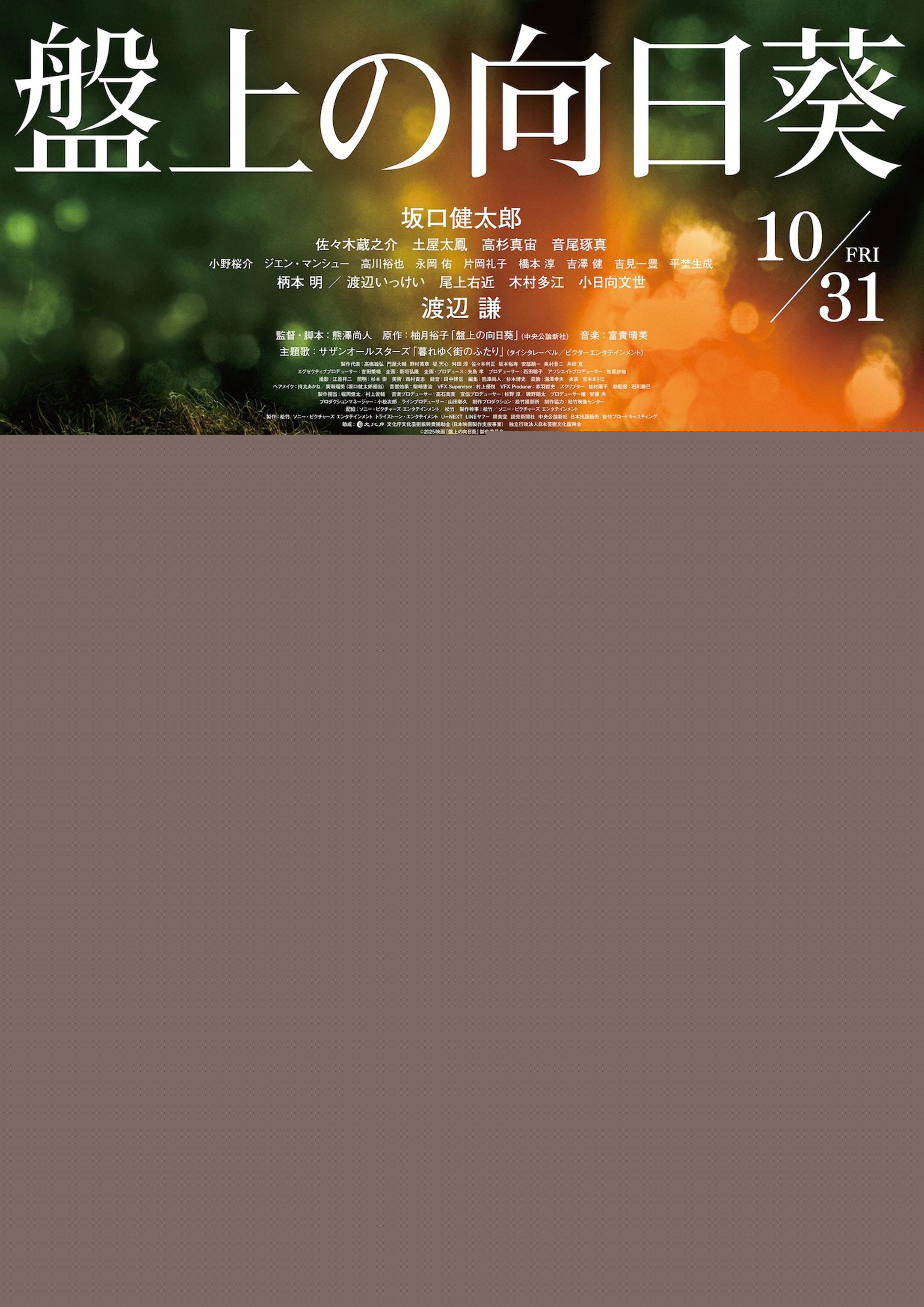 坂口健太郎《棋盘上的向日葵》曝预告 追加卡司！-第1张图片-旧杳电影网