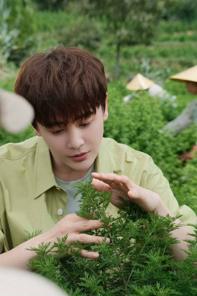 孙坚揭露网红直播带货优惠真相 商家存在欺骗套路-第2张图片-旧杳电影网 孙坚揭露网红直播带货优惠真相 商家存在欺骗套路-第2张图片-旧杳电影网