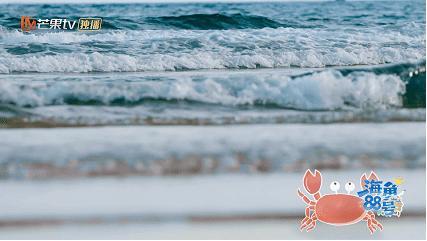 《海角88号》首播好评如潮!海上民宿化身治愈乌托邦-第1张图片-旧杳电影网 《海角88号》首播好评如潮!海上民宿化身治愈乌托邦-第1张图片-旧杳电影网