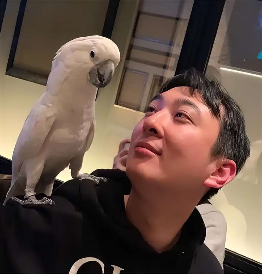 王思聪在新加坡出现,穿粉色鞋子携粉色塑料袋,身边有三位女伴-第3张图片-旧杳电影网 王思聪在新加坡出现,穿粉色鞋子携粉色塑料袋,身边有三位女伴-第3张图片-旧杳电影网