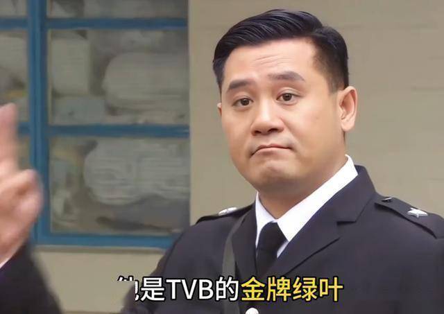 老牌港星重聚宜宾！陈浩民瘦脱相，黎耀祥一脸憨，麦长青头发花白-第16张图片-旧杳电影网