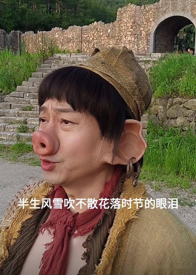 老牌港星重聚宜宾！陈浩民瘦脱相，黎耀祥一脸憨，麦长青头发花白-第18张图片-旧杳电影网