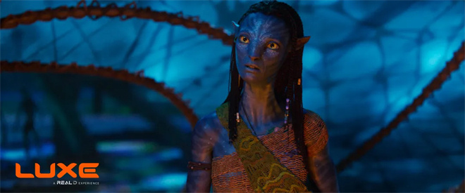 《阿凡达3》年末将映!RealD推出专属主题3D眼镜-第4张图片-旧杳电影网 《阿凡达3》年末将映!RealD推出专属主题3D眼镜-第4张图片-旧杳电影网