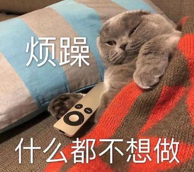 E句话-《怦然心动》的导演,被儿子杀死 ?-第7张图片-旧杳电影网 E句话-《怦然心动》的导演,被儿子杀死 ?-第7张图片-旧杳电影网