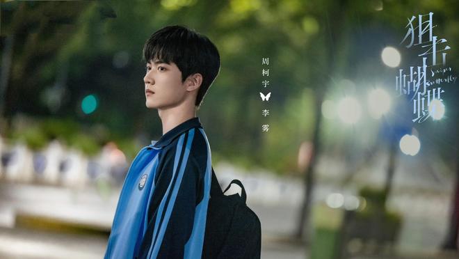 《狙击蝴蝶》结局，心路“李岑”CP，事业爱情双丰收-第1张图片-旧杳电影网