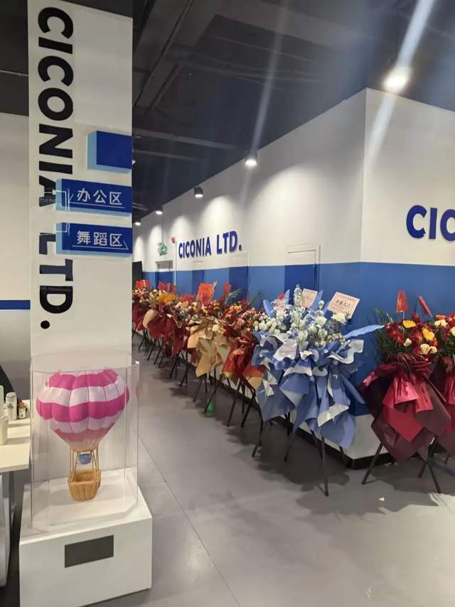 从综艺到团播，我都经历了什么丨宋秉华自述-第12张图片-旧杳电影网