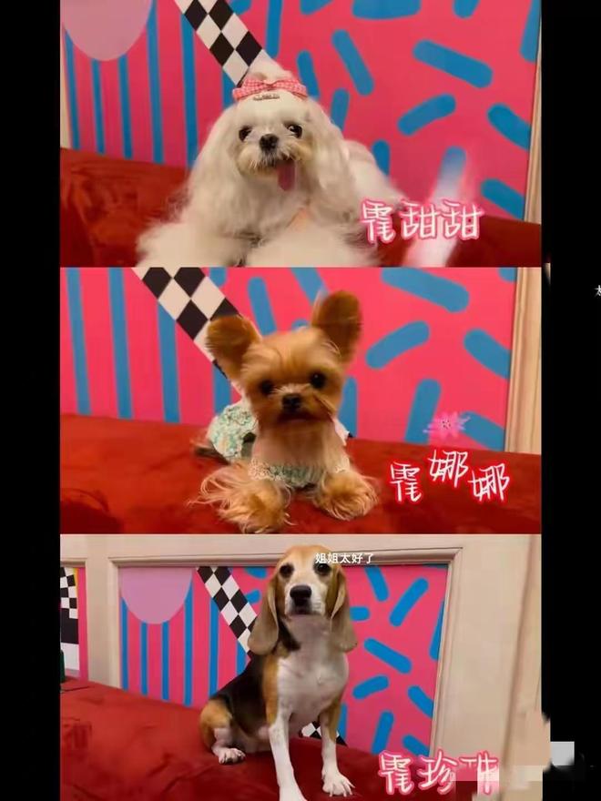 杜江没有想到，半隐退的妻子霍思燕，如今拿下国际大奖为他争了光-第4张图片-旧杳电影网