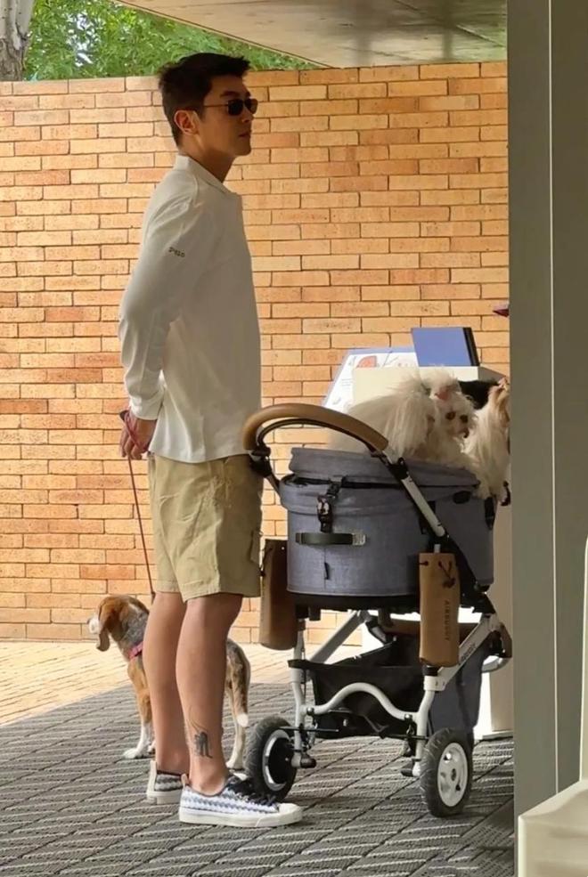 杜江没有想到，半隐退的妻子霍思燕，如今拿下国际大奖为他争了光-第8张图片-旧杳电影网