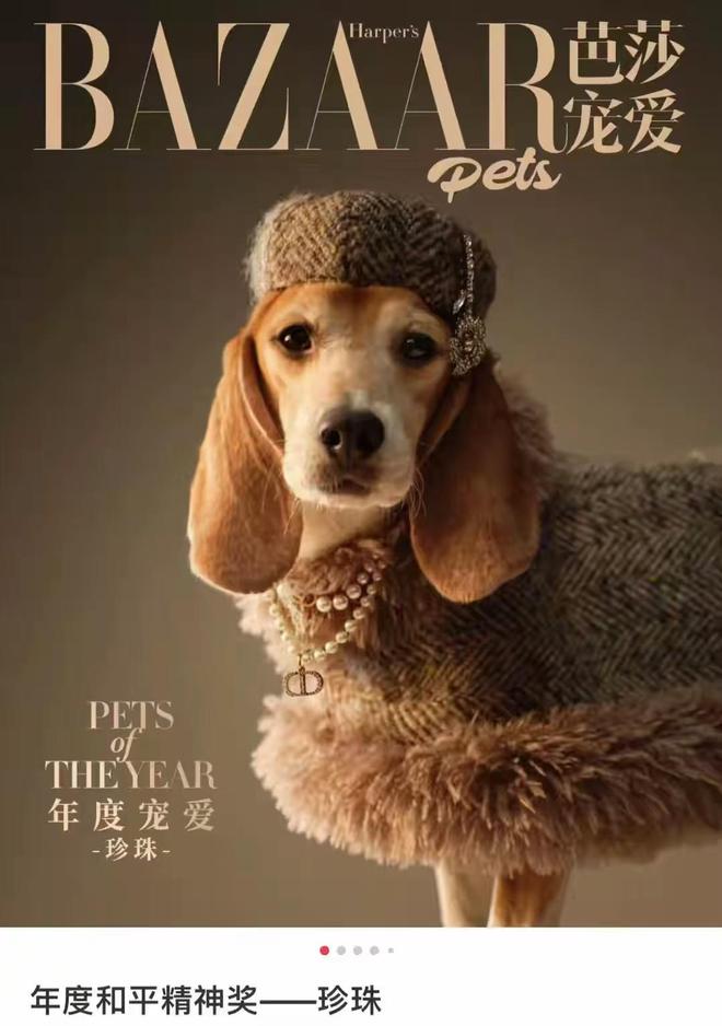 杜江没有想到，半隐退的妻子霍思燕，如今拿下国际大奖为他争了光-第12张图片-旧杳电影网