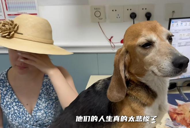 杜江没有想到，半隐退的妻子霍思燕，如今拿下国际大奖为他争了光-第11张图片-旧杳电影网