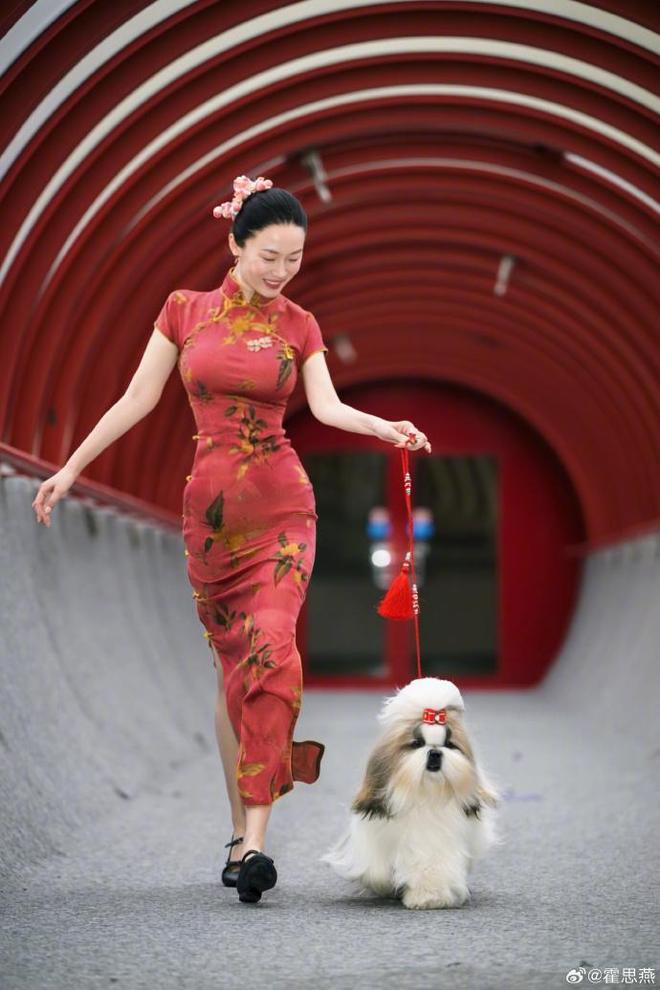 杜江没有想到，半隐退的妻子霍思燕，如今拿下国际大奖为他争了光-第14张图片-旧杳电影网