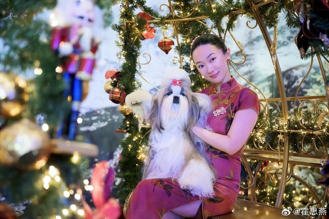 杜江没有想到，半隐退的妻子霍思燕，如今拿下国际大奖为他争了光-第15张图片-旧杳电影网