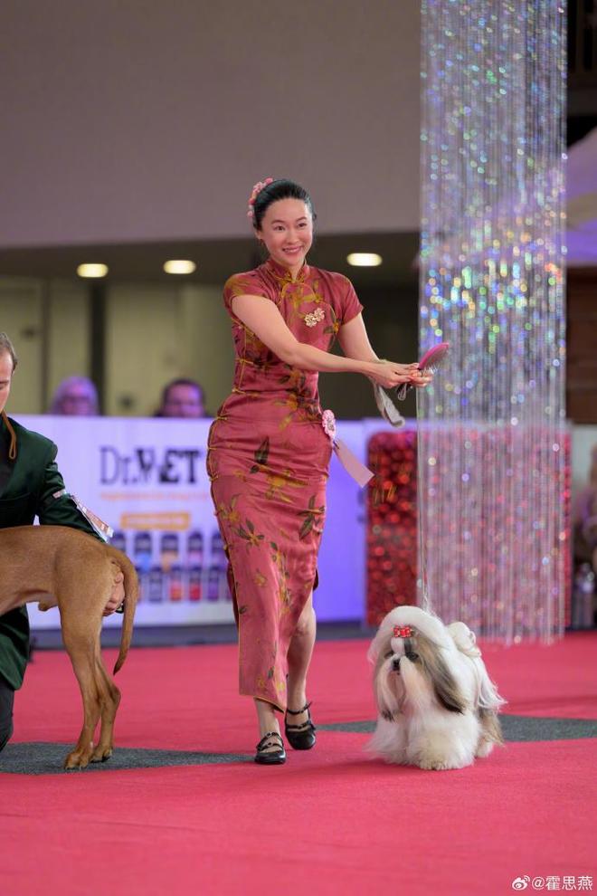 杜江没有想到，半隐退的妻子霍思燕，如今拿下国际大奖为他争了光-第18张图片-旧杳电影网