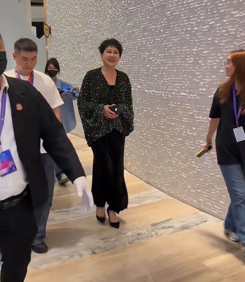 电影节红毯太真实，颜丙燕脸肿，郭采洁副乳尴尬，梅婷大黑眼袋-第11张图片-旧杳电影网