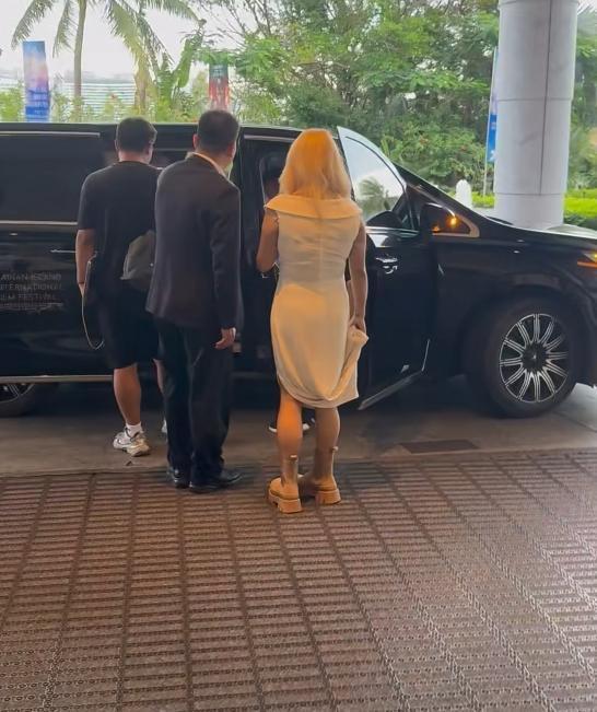 电影节红毯太真实，颜丙燕脸肿，郭采洁副乳尴尬，梅婷大黑眼袋-第14张图片-旧杳电影网