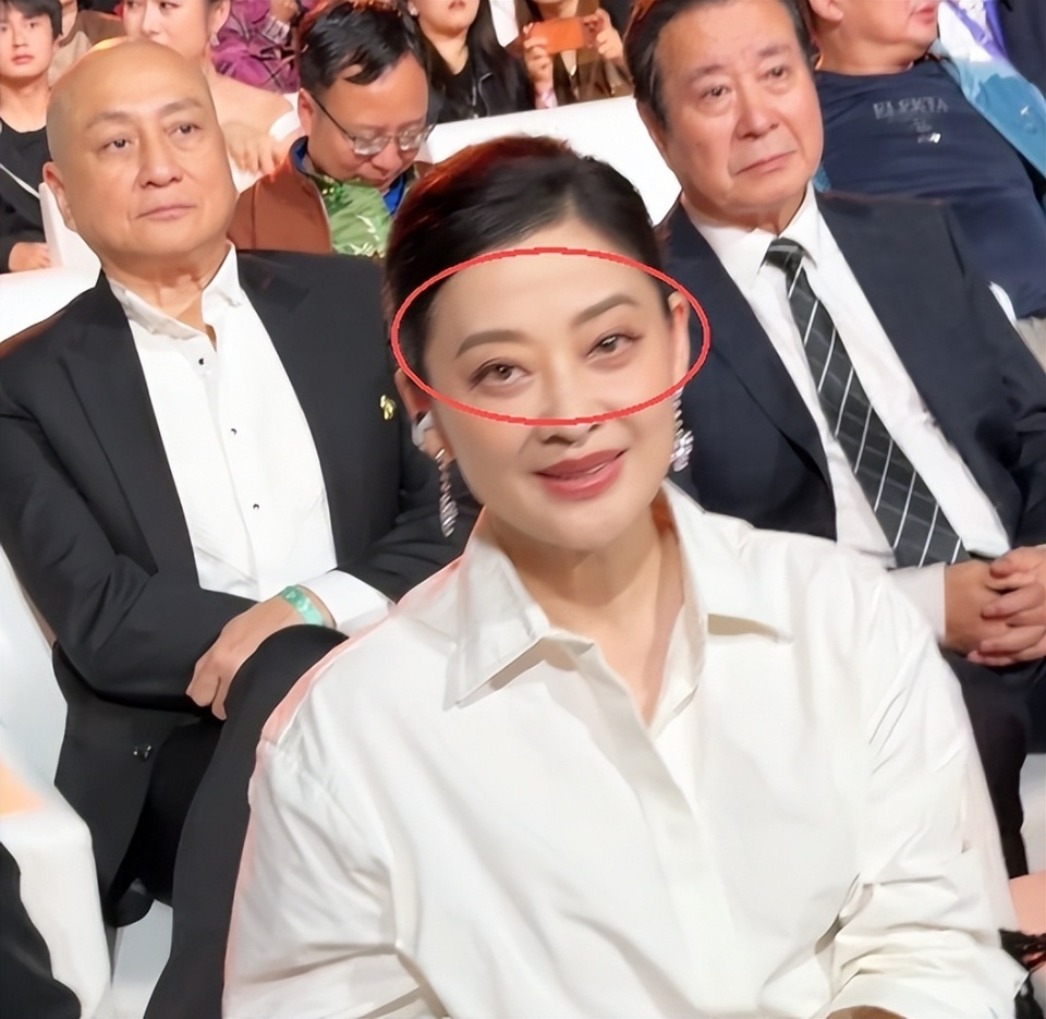 电影节红毯太真实，颜丙燕脸肿，郭采洁副乳尴尬，梅婷大黑眼袋-第26张图片-旧杳电影网