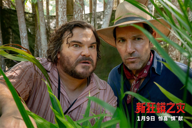 《新狂蟒之灾》1月9日上映 “蚁人”智斗嗜血巨蟒-第2张图片-旧杳电影网