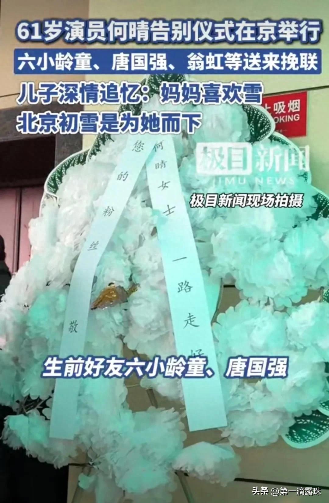 何晴告别仪式，影迷现场送别，儿子许何追忆母亲，许亚军疑似现身-第1张图片-旧杳电影网