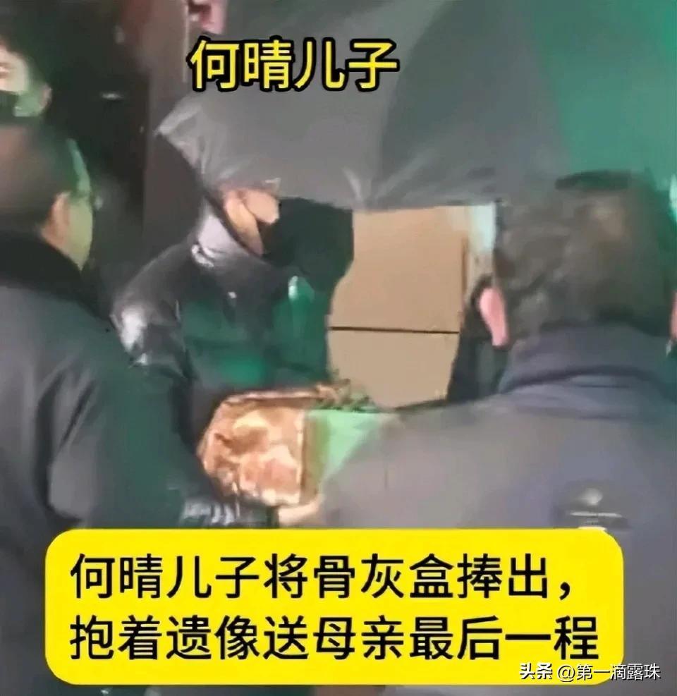 何晴告别仪式，影迷现场送别，儿子许何追忆母亲，许亚军疑似现身-第10张图片-旧杳电影网