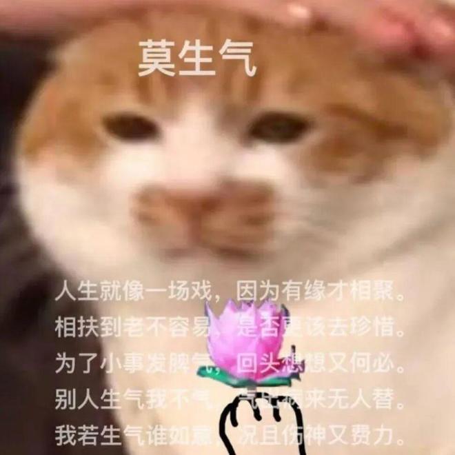 E句话- 新F4上海开唱，朱孝天疑似内涵阿信？-第19张图片-旧杳电影网