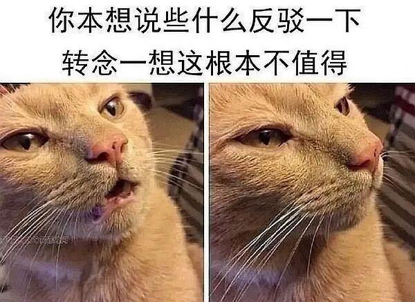 E句话- 新F4上海开唱，朱孝天疑似内涵阿信？-第22张图片-旧杳电影网